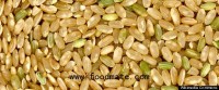 FDA nearing decision on federal standards for arsenic in rice