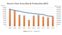 South Korean pear industry continues to shrink