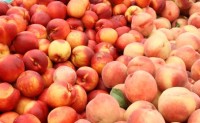 Five Additional Days Added to Wawona Fruit Recall