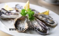 Vibrio in Oysters Sickened 8 in MA This Year