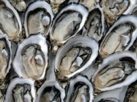 Electron-beam pasteurisation of raw oysters may reduce food poisoning