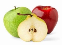 EU Commission negotiating pear and apple export protocols to US