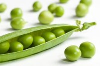 Carmit launches pea protein bar