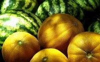 DFI Marketing recalls cantaloupes in US over Salmonella contamination