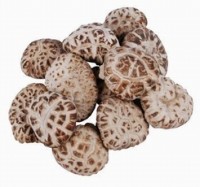 Shiitake mushrooms help fight cancer, reduce cholesterol, and boost immunity