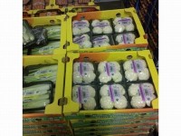 Middle East opening up for baby vegetables