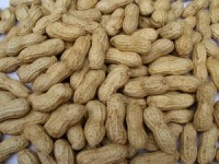 Peanut costs negatively impact Smucker's margins in first half
