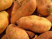 Vitamin A prevents cervical cancer