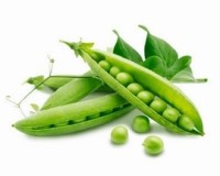 Burcon NutraScience opens pea protein facility in Canada
