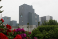 Arla to expand Danish facility to meet Chinese demand