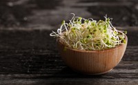 Raw Clover Sprouts Linked to E. coli Illness Outbreak in Washington and Idaho