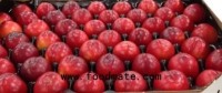 In the coming weeks, there will be a shortage of plums in Europe