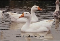 Wendy's Drops Foie Gras From Menu in Japan!
