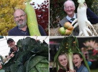 Unbelievably huge vegetables in UK