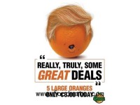Ireland Fruit & veg shop using Trump to market oranges