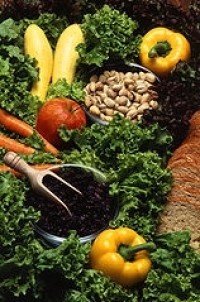 Vegetarian and vegan diets protect against cancers