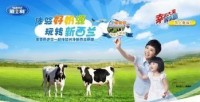 China milk powder firms court foreign cachet for domestic gains