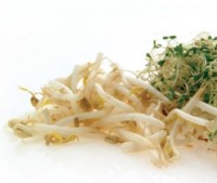 Alfred Louie Inc. ordered to close sprouts distributor over listeria contamination