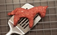 USDA embroiled in flames of horse-slaughter furor