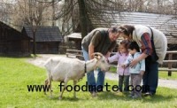 WA Petting Zoo Linked to 10 Illnesses