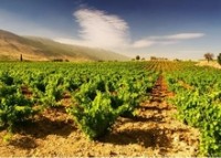Country of Origin Bill ignites AFGC anger