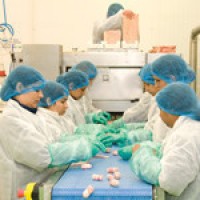 Keep the factory safe: take the people out