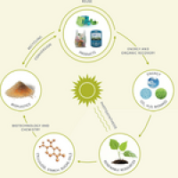 Trade body attempts to clean up bioplastic communication