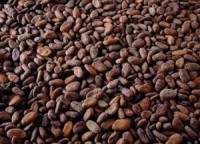 World Cocoa Foundation announces cocoa sustainability initiative