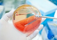 E. Coli found in Colorado drinking water