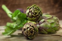 Celery, artichokes contain flavonoids that kill human pancreatic cancer cells