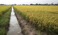 Director-General of FAO Expresses Worry About Food Safety and Pollution in China