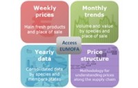 EU seafood gets industry tool for smarter selling