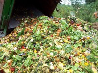 Food Waste Powers Sainsbury's Store