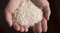 Dust-Up Over Arsenic Levels In Rice Settles Nothing