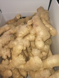 Great divergence in market demand for Chinese fresh ginger