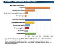 US: Pathogen contamination a leading reason for food recalls