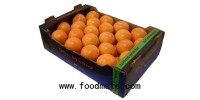 Good start for grapefruit from South Africa and Zimbabwe