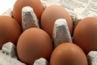 Egg prices to rocket, food manufacturers warned