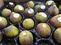The demand for figs is always higher than the supply