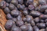 Purple potatoes rich in antioxidant phytochemicals