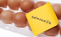 Three Deaths Reported Among 156 Cases in UK Salmonella Outbreak