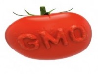 GMO labeling forces look for a win after two defeats