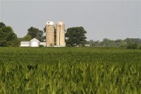 American farmers use Monster machines to handle slow sow in spring planting