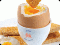 British Lion scheme helps ‘eradicate salmonella’ in eggs: report