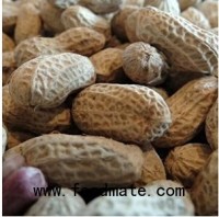 Food Allergy Week kicks off