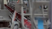Foodline optimizes processing line at Berrybrothers