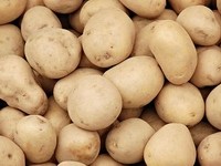 UK researchers develop new method to fortify potatoes with iron