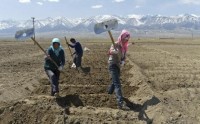 Drought hits China food production