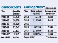 Large supply & dip in exports pull down Indian garlic prices to record low
