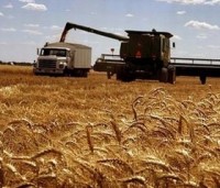 Australia’s Agricultural Exports To Hit $38 Billion